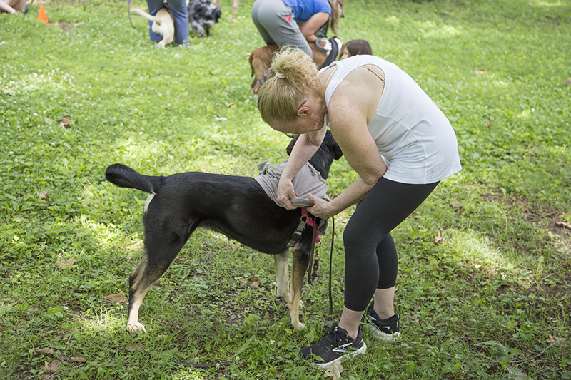 Random Rippling - Dog Olympics