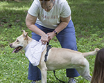 image 0042