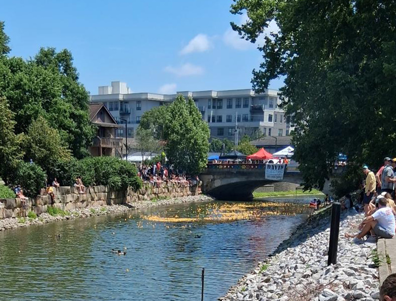 Frog's Random Rippling - Duck Race and 5K