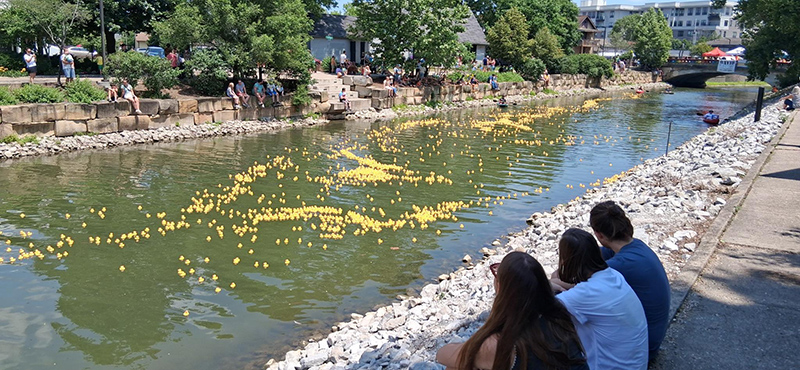 Frog's Random Rippling - Duck Race and 5K