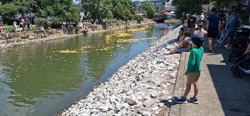 Frog's Random Rippling - Duck Race and 5K