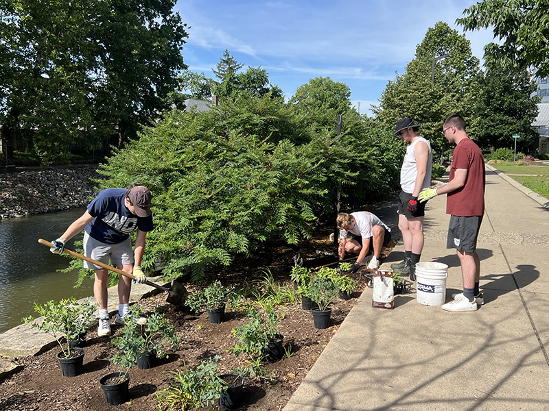 Reader Random Rippling - Rotary Club beautification