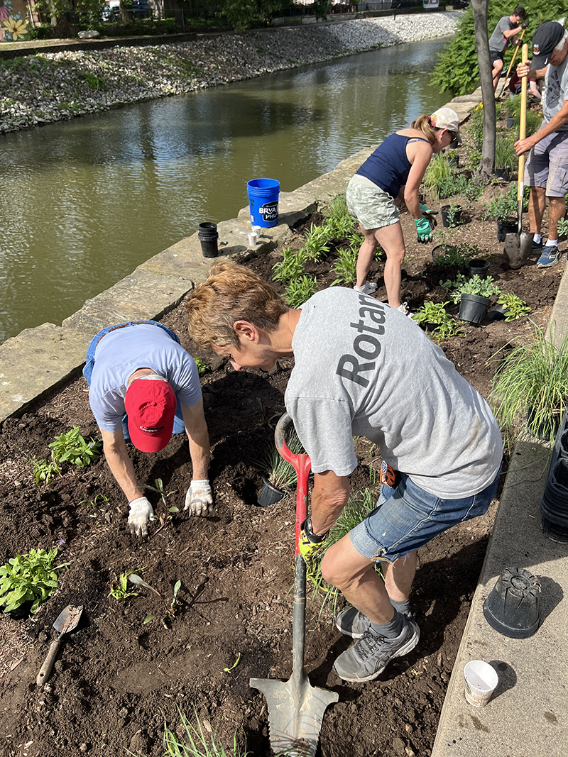 Reader Random Rippling - Rotary Club beautification