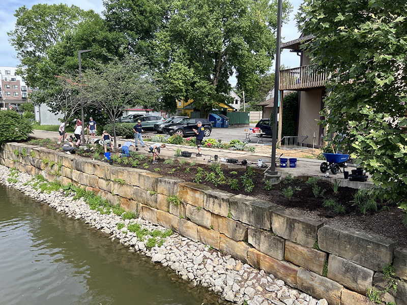 Reader Random Rippling - Rotary Club beautification
