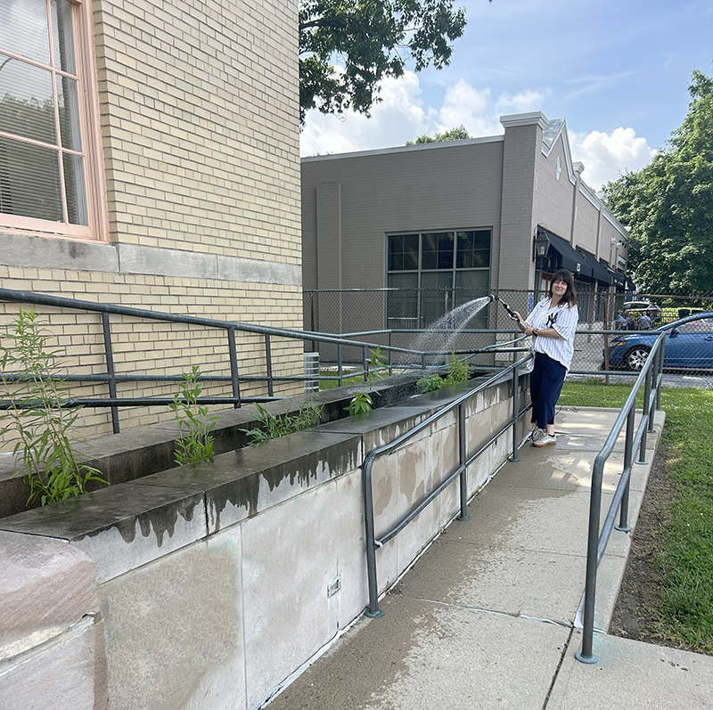 Random Rippling - Flowers planted at Post Office