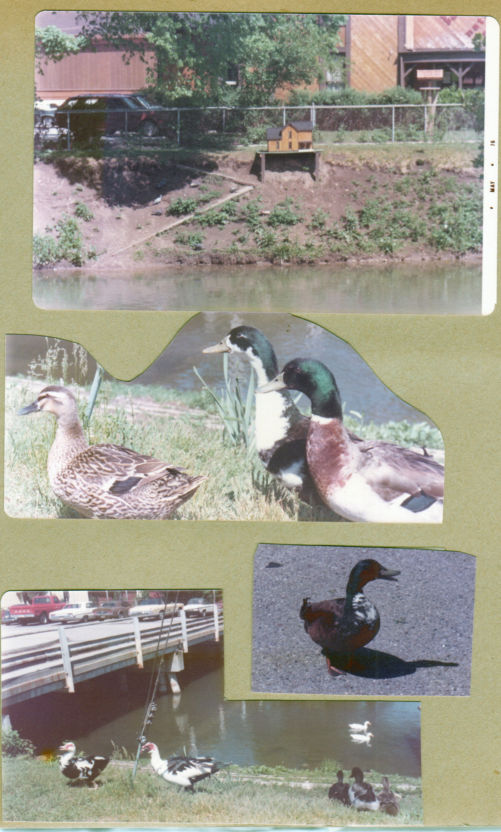 The full page from the photo album that also shows part of the canal parking deck.
