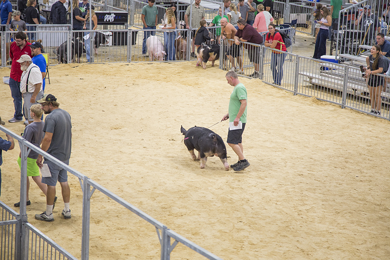Indiana State Fair 2026