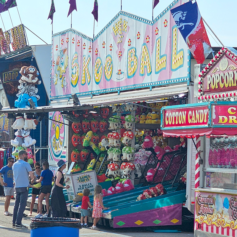 Frog's Random Rippling - State Fair 2026