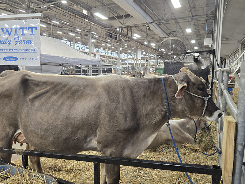 Indiana State Fair 2026